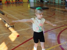 48682358111227994596480015427966843056236315n